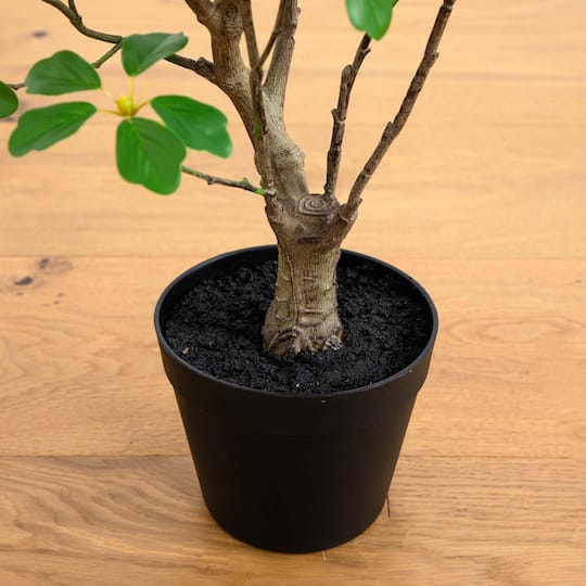 4ft. Potted Dogwood Tree with Real Touch Leaves